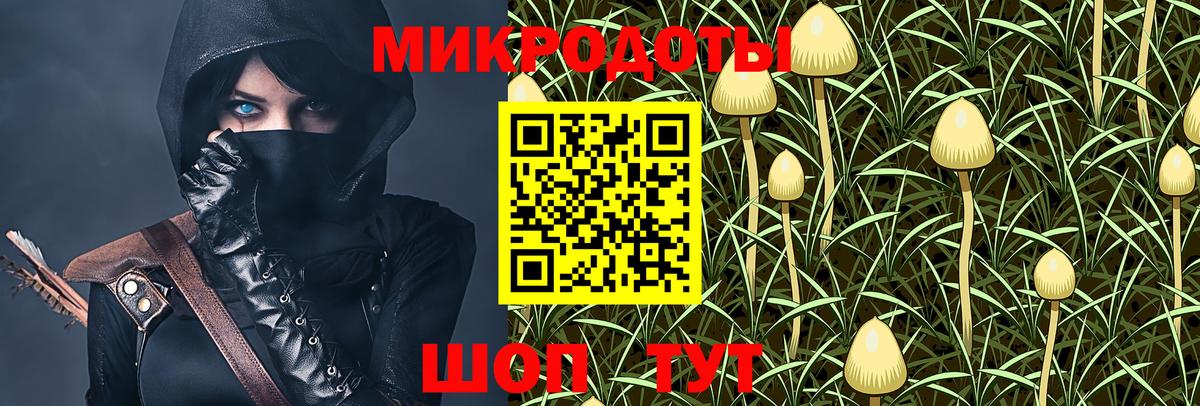 Галлюциногенные грибы мицелий Химки