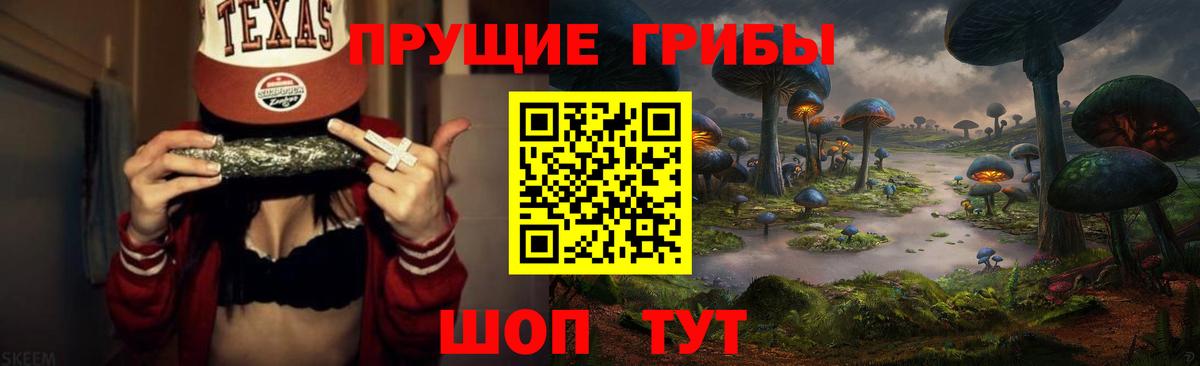 Химки  Псилоцибиновые грибы MAGIC MUSHROOMS  Вход с VPN  Галлюциногенные грибы мухоморы 